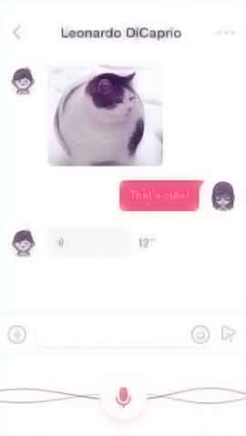 黑客软件攻击器手机版软件程序维护界面